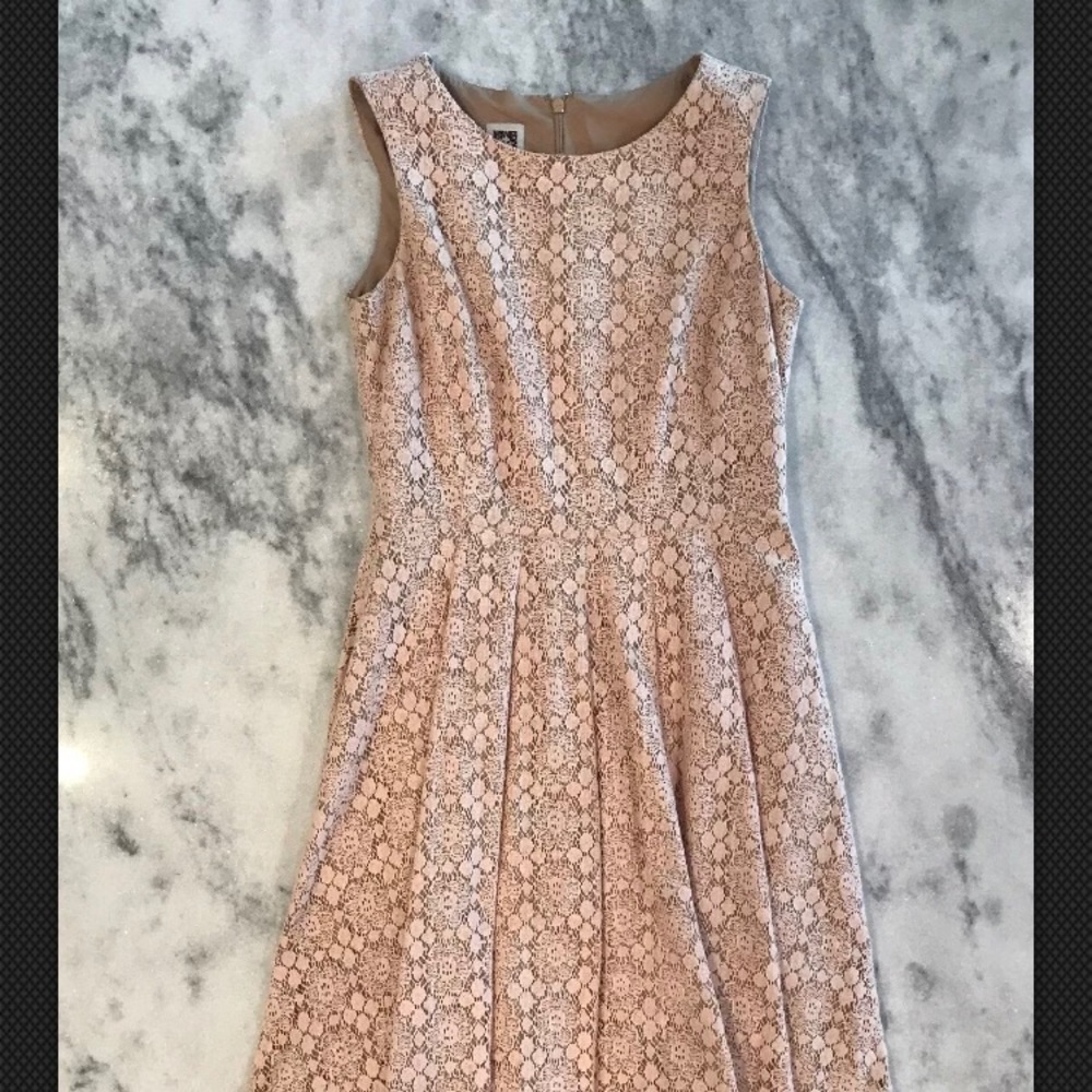 SALE❄️ AK Blush Lace Sheath Dress